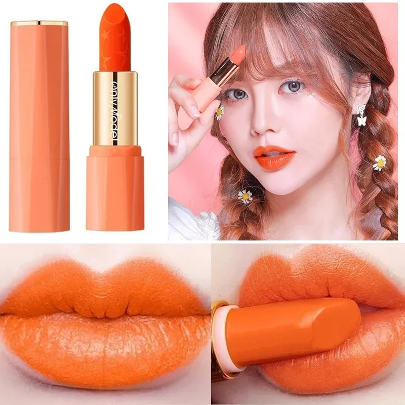 Orange Lipstick Waterproof Long Lasting Matte Lipsticks Resistant Lip Stick Velvet Lip Tint Women Cosmetic Sexy Lip Glaze Makeup