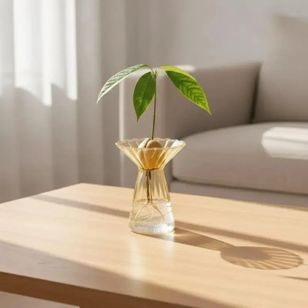 Colorful Transparent Glass Vase Narrow Neck Design for Propagating Plants for Avocado Tulip Bulbs Nordic Style Home Decor