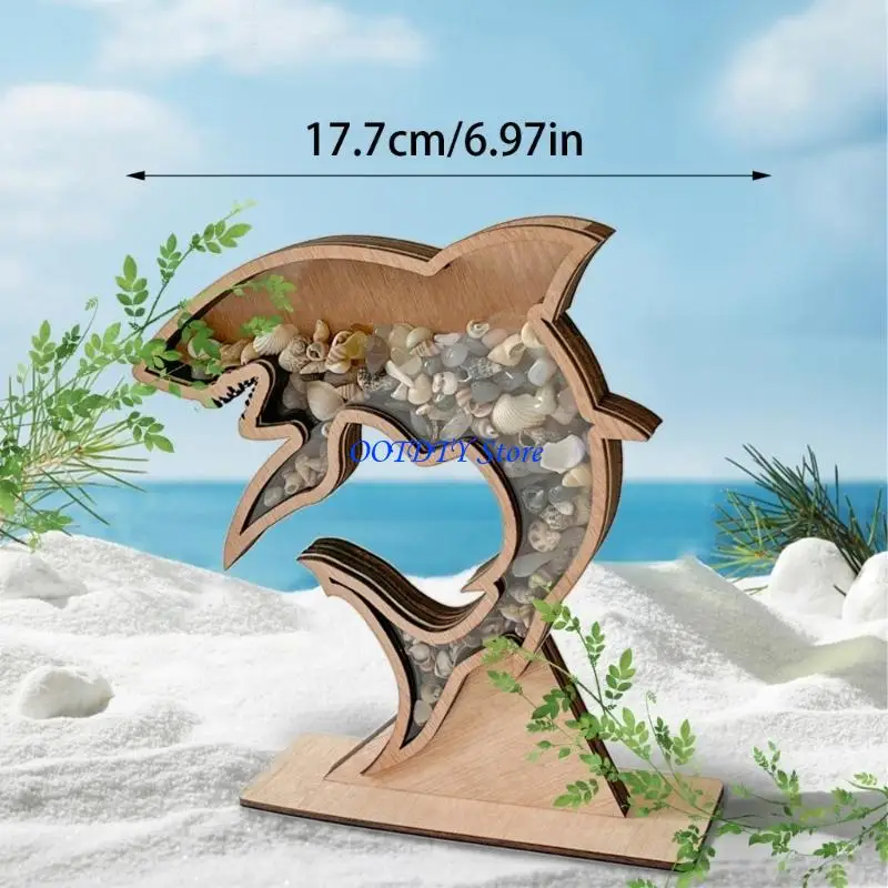 367A Starfishs Seashells Display Box with Clear Acrylic Front Seashells Holders for Shark Teeth Small Shadows Box