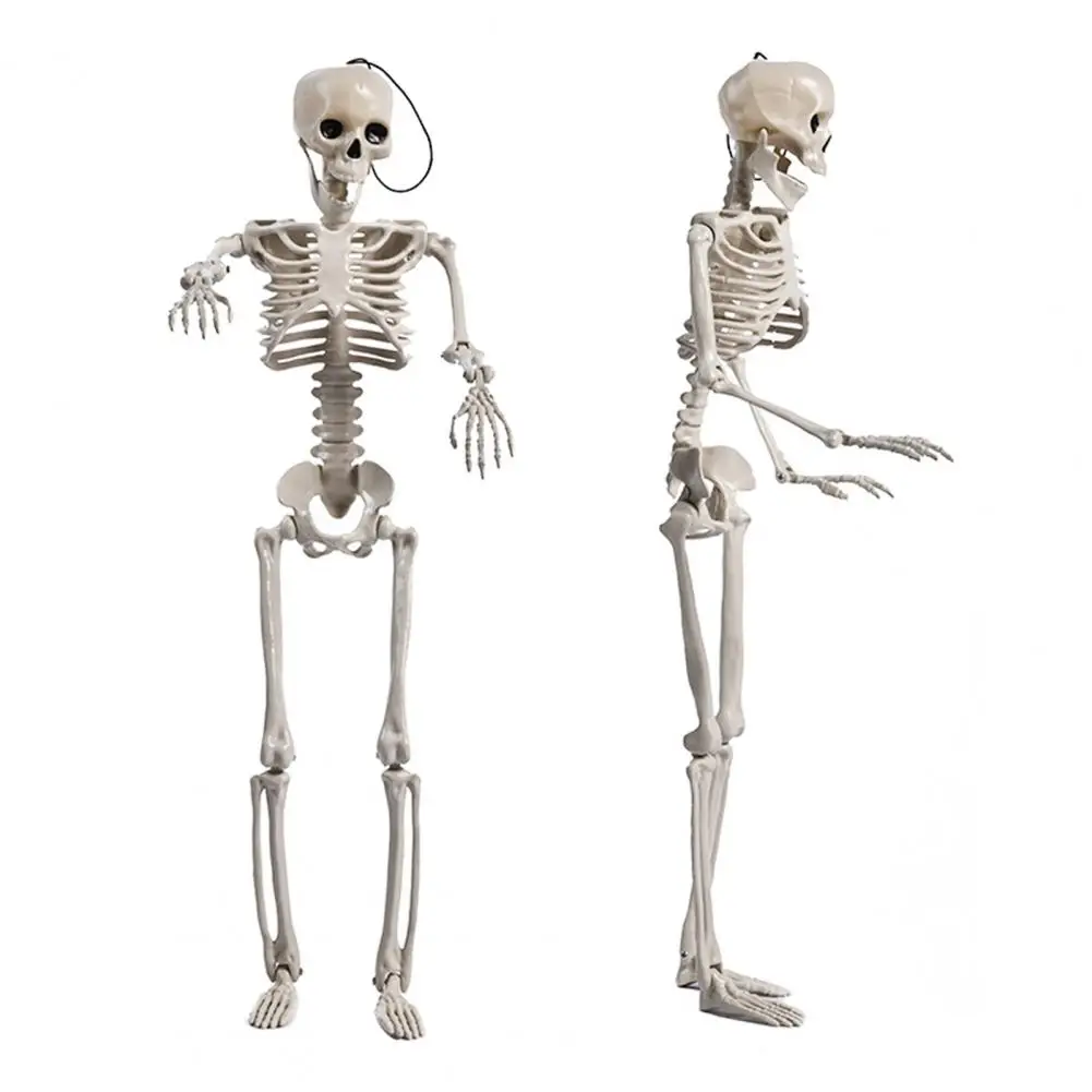 

Skeleton with Movable Joints Spooky Halloween Skeleton Decoration for Haunted House Parties Full Body Skull with for Bars