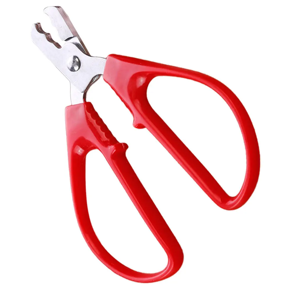 Outil d'ouverture d'écrou robuste en acier inoxydable, pour Pistaches, pignons de pin, graines de tournesol, décortiqueur multifonction, forte Corrosion