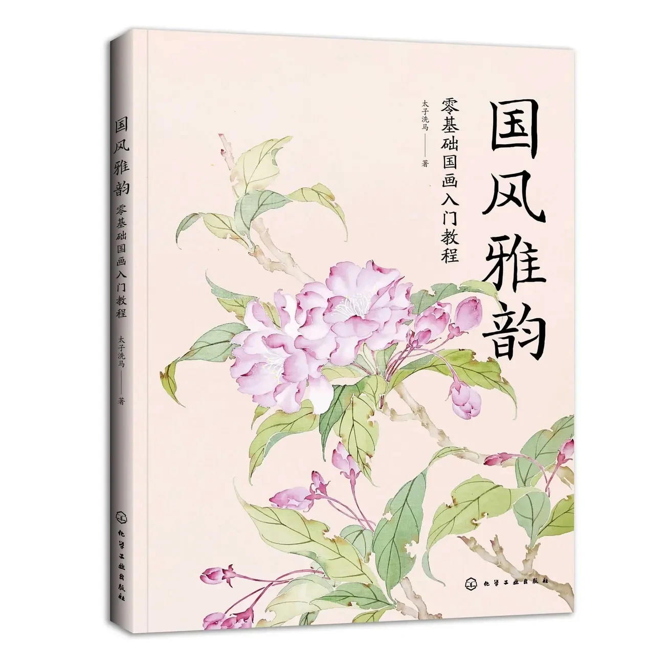 

Authentic Guide to Traditional Chinese Painting for Beginners