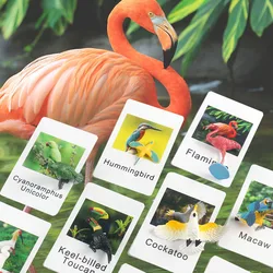 Montessori Flash Cards Bird Animal Figures Matching Game Learning Educational Toys For Children Language Materials E1364H