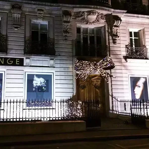 

Customized 3D Large Christmas Light Bow Decoration For Outdoor Commercial Grade Winter Illumination