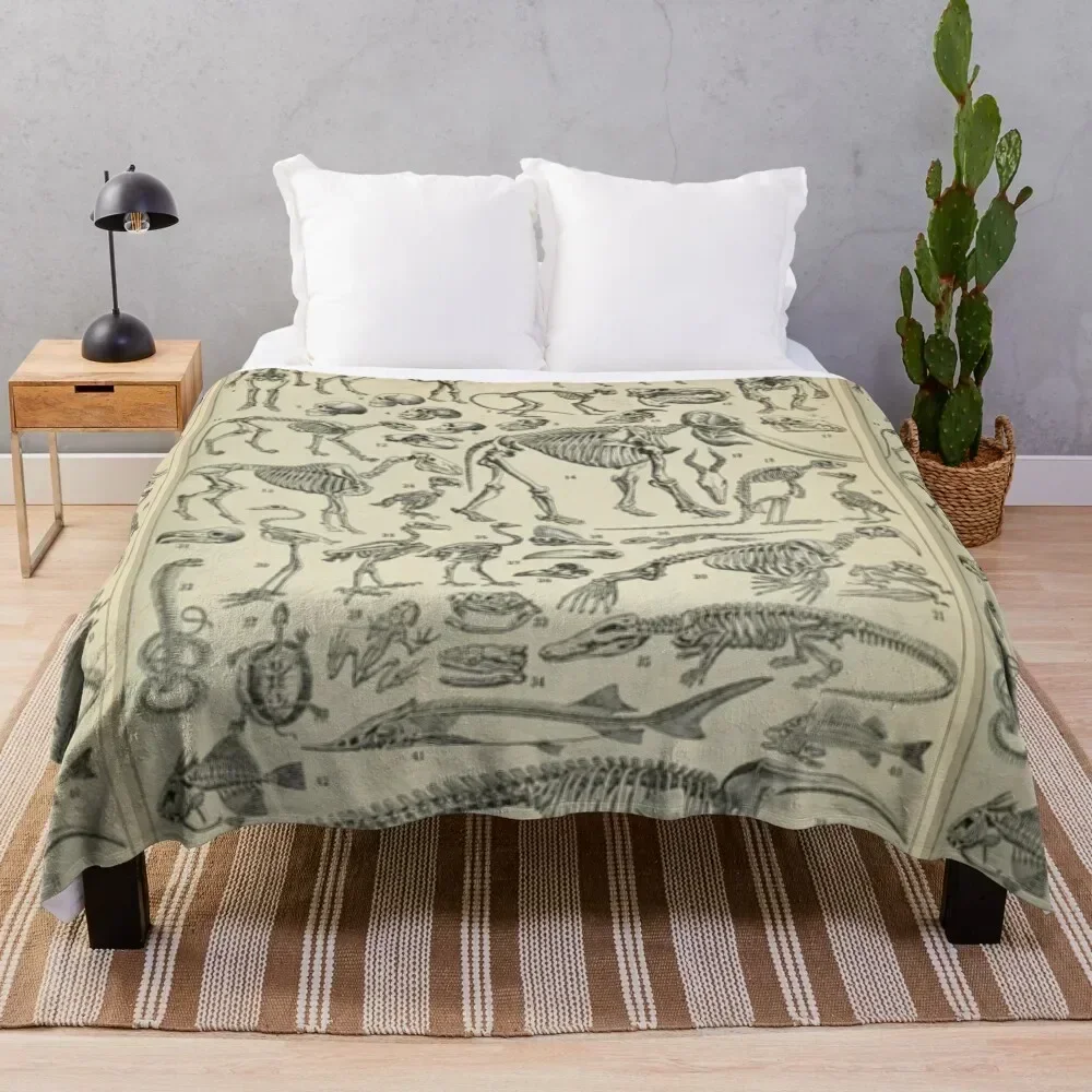 

Skeletal Anatomy Throw Blanket No Pilling Soft Warm Blanket for Bed