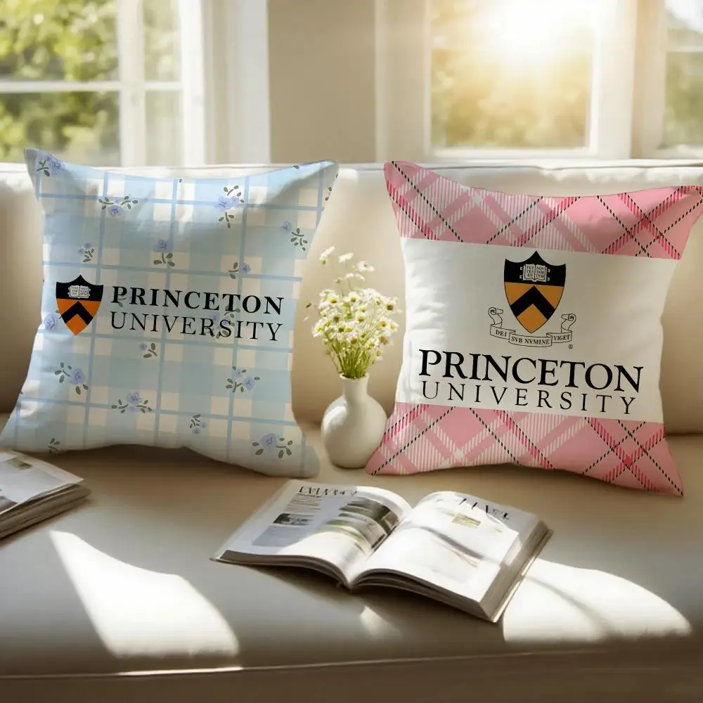 Princeton University Cushion Cover Sofa Cushion Cover Personalized Gift Living Room Home Decor Pillow