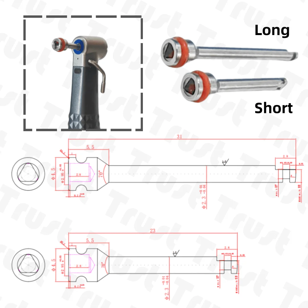 Mini Screw Temporary Anchorage System with Mandrel Implants - Handpiece Key for Micro Screws