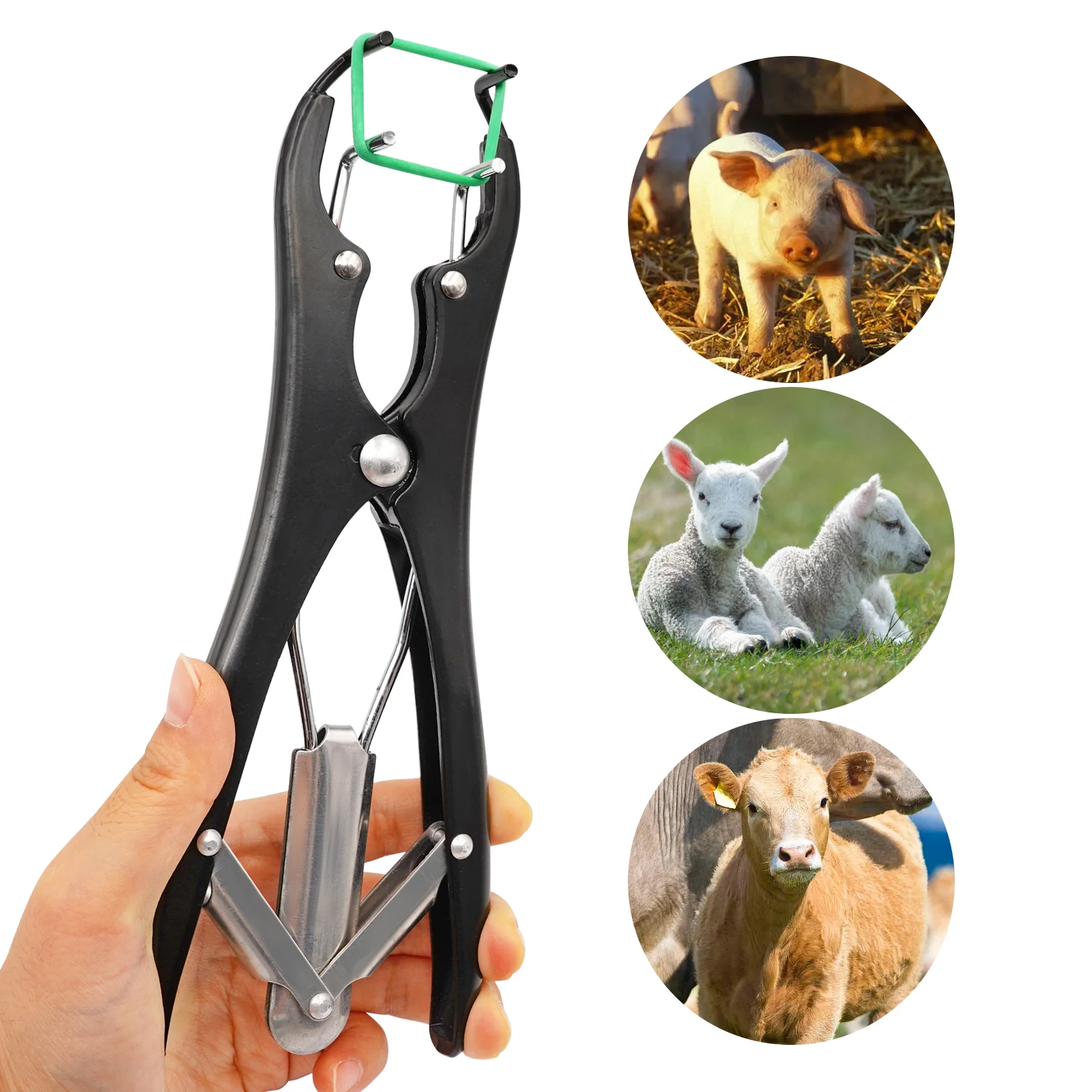 Livestock Pig Goat Sheep Castration Pliers Particulate Rubber Ring Castration Device Veterinary Equipment