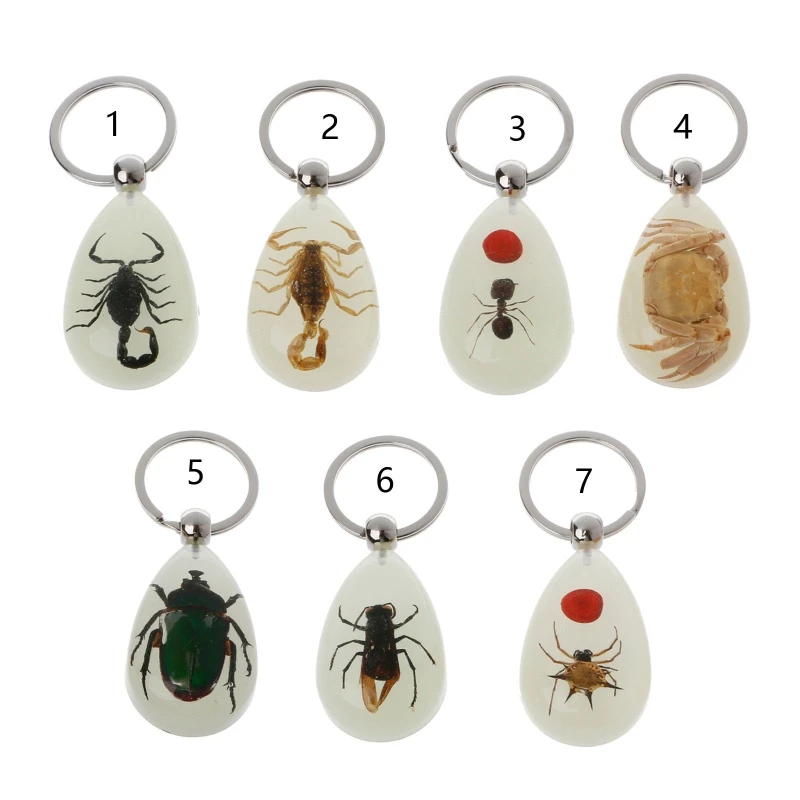 Luminous Amber Insect Keychain Black Scorpion Resin Key Ring Glow in the Dark Pendants with Insect Sample Inside