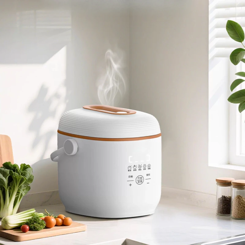 

220V Mini Rice Cooker With 1 To 2 People Functions