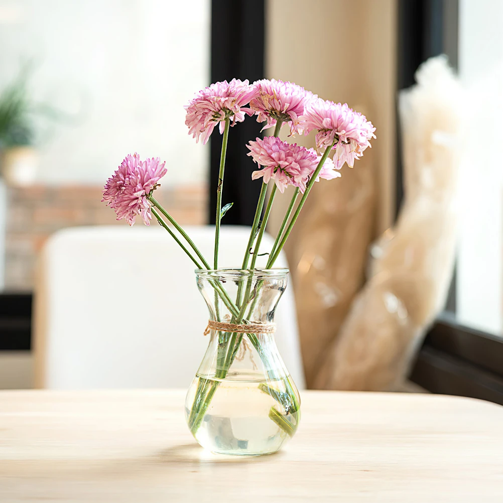 

5Pcs Glass Flower Vase Flat Bottom Hydroponic Plant Holder for Home Office Table Centerpiece Decoration Flower Vase