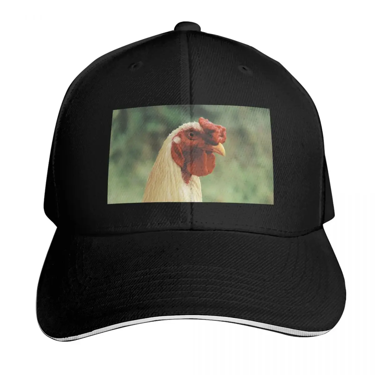 Rooster Baseball Cap Golf Hat Fishing cap |-F-| New In The Hat Men Golf Wear Women's