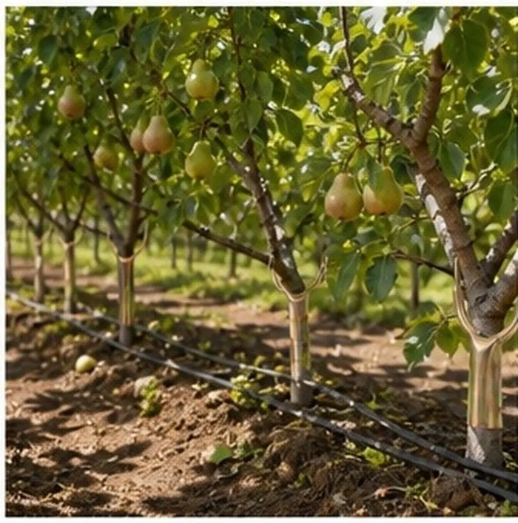 8pcs Metal Y-Shaped Tree Branch Supports for Orchard & Garden – Plant Cradles, Limb Crutches, Heavy Branch Protection