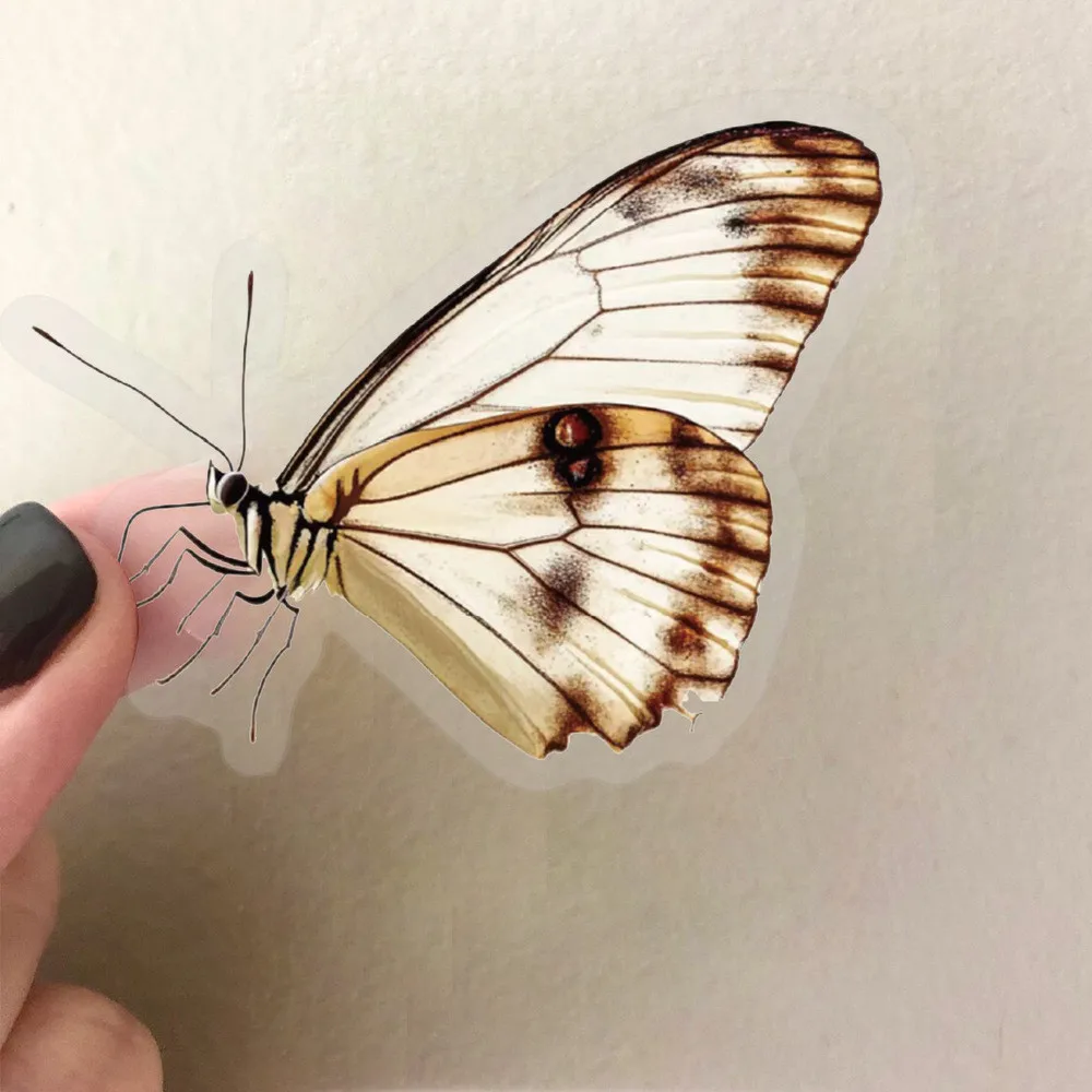 50PCS Transparent Elegant Butterfly Sticker Pack - Waterproof Clear PET for Scrapbook, Guitar BulingBulingStickers Store