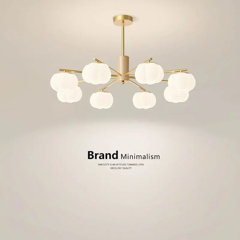 Living room pendant light, natural wood, cream breeze, Guangdong Zhongshan lighting fixtures, whole house package, combination h