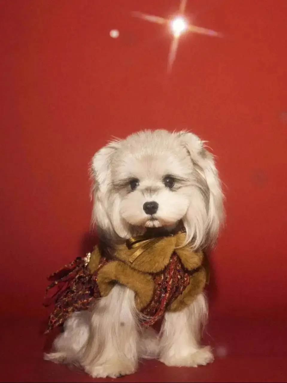 

Red Sequin Faux Fur Pet Dress - Winter Warm Luxury Style for Small Dogs (Teddy/Schnauzer/Bichon/Maltese/Chihuahua)