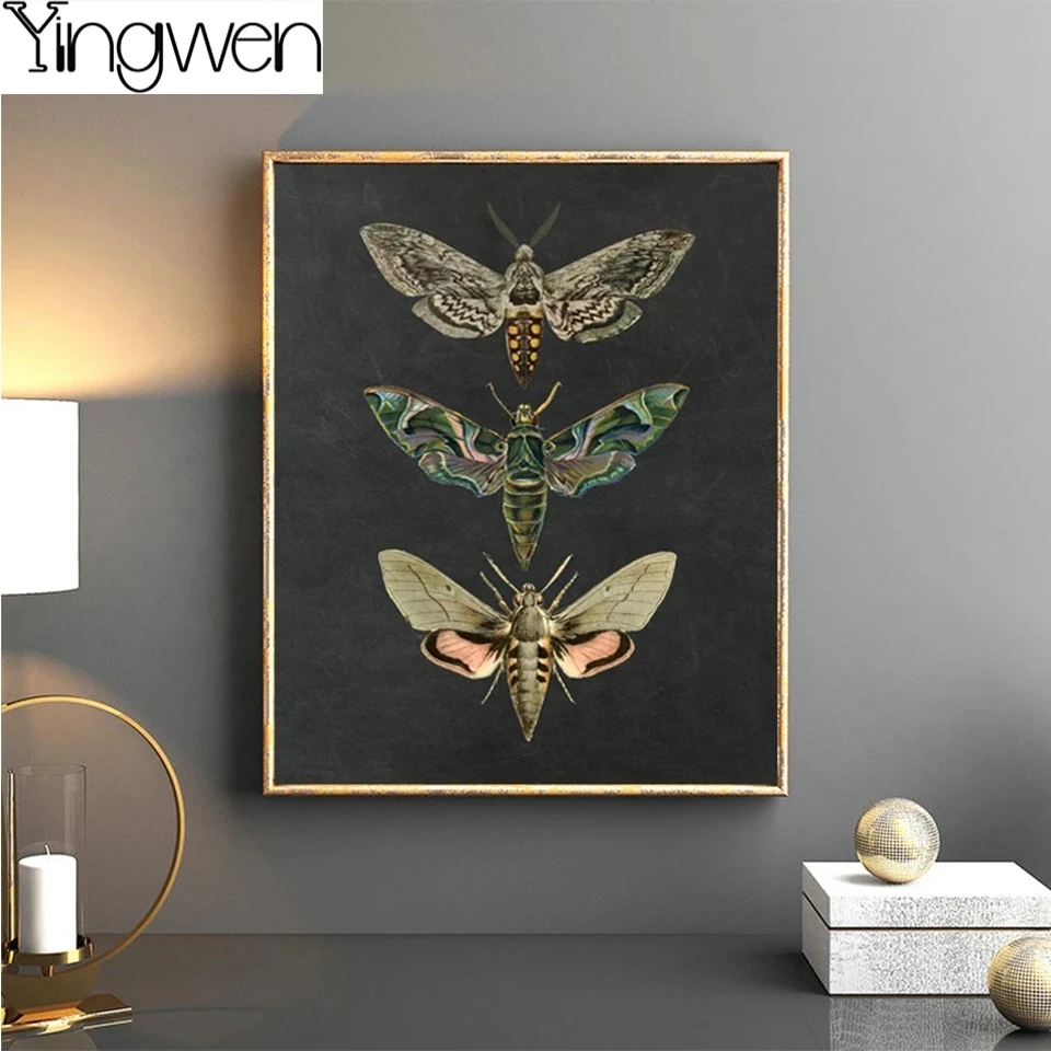 Moth Nature Insect DIY Diamond Painting Vintage Home Wall Decor Animal Educational Picture Cross Stitch Kids Room Art Decoration