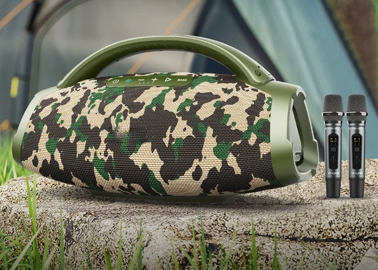 D20 Portable Karaok… - image