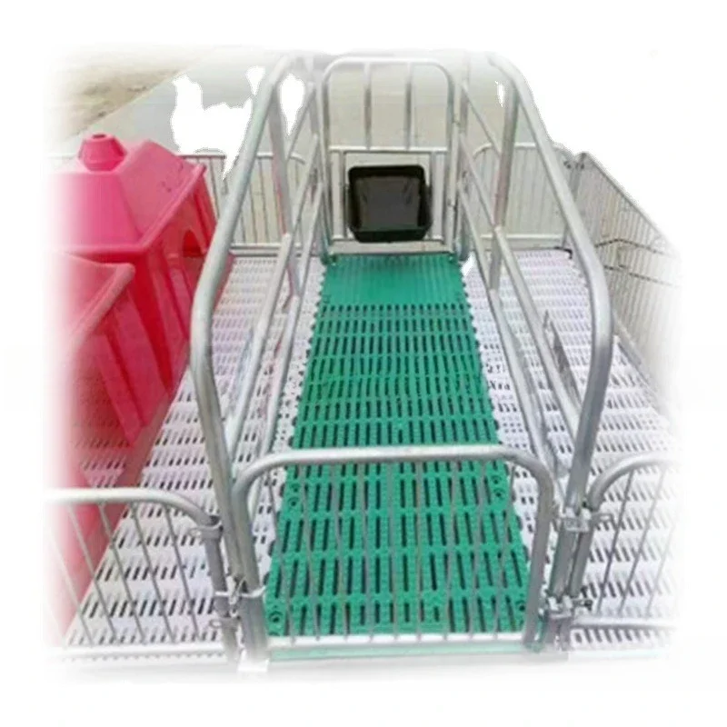 Pig house sows have high productivity, good things to share, strongly recommended