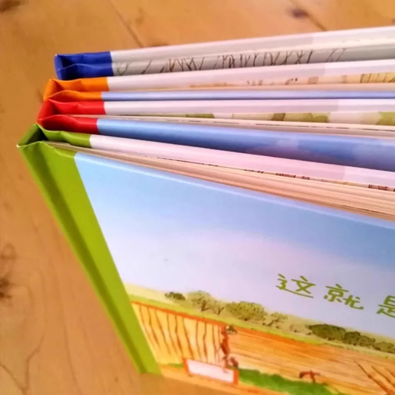 This Is The 24 Solar Terms of Natural Changes. Elementary School Students Read Popular Science Books Outside of Class