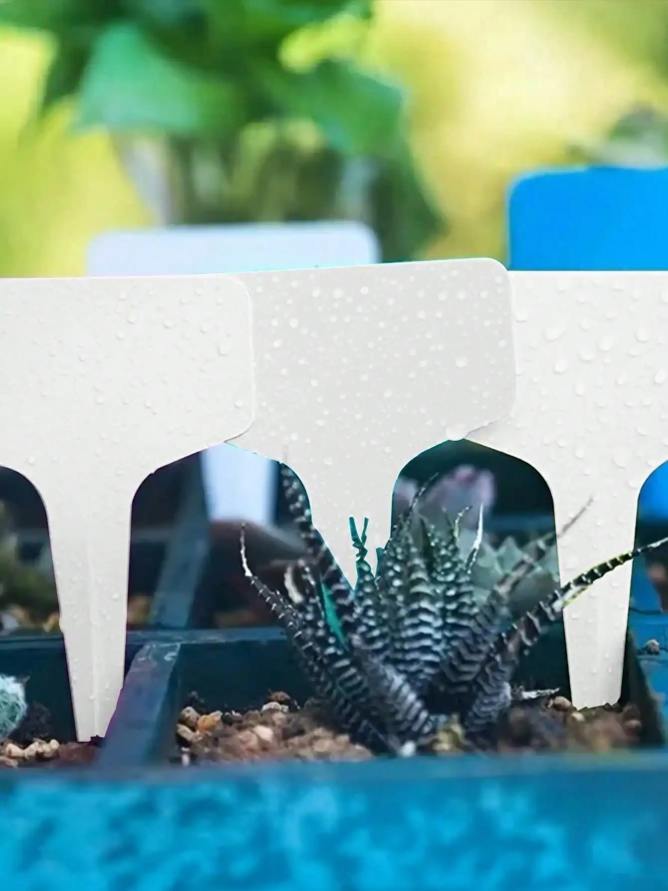 20pcs Waterproof Plant Tags Reusable T Type Garden Markers for Flowers Vegetables Potted Plants