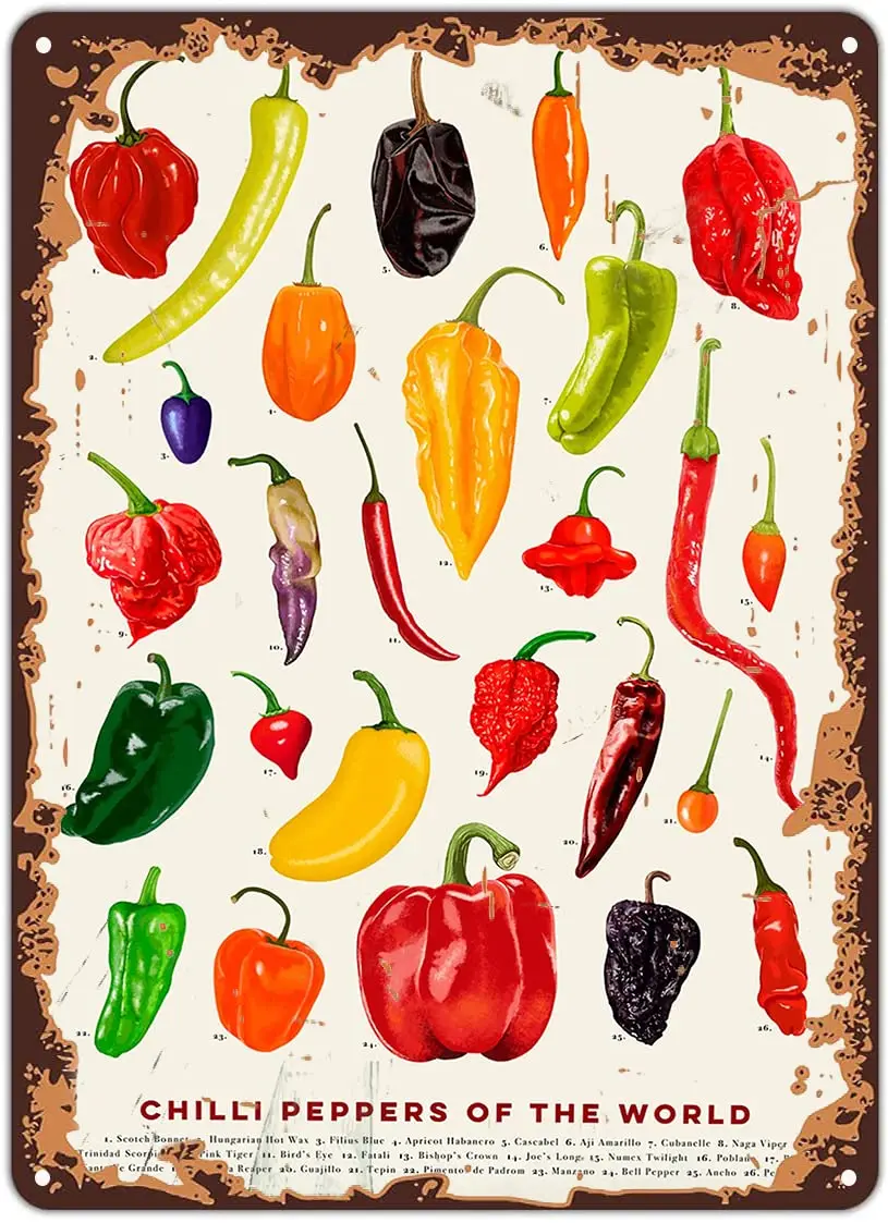 Placa de metal decorativa, Chiles del mundo - Guía de chiles, Arte de chiles, Póster de chiles picantes, Arte culinario, Chiles picantes, cartel