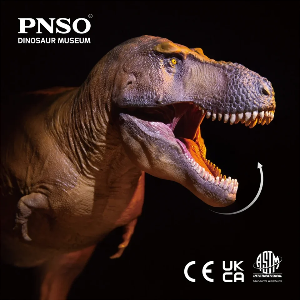 PNSO 1/35 ティラノサウルスレックス カメロンモデル 先史時代動物