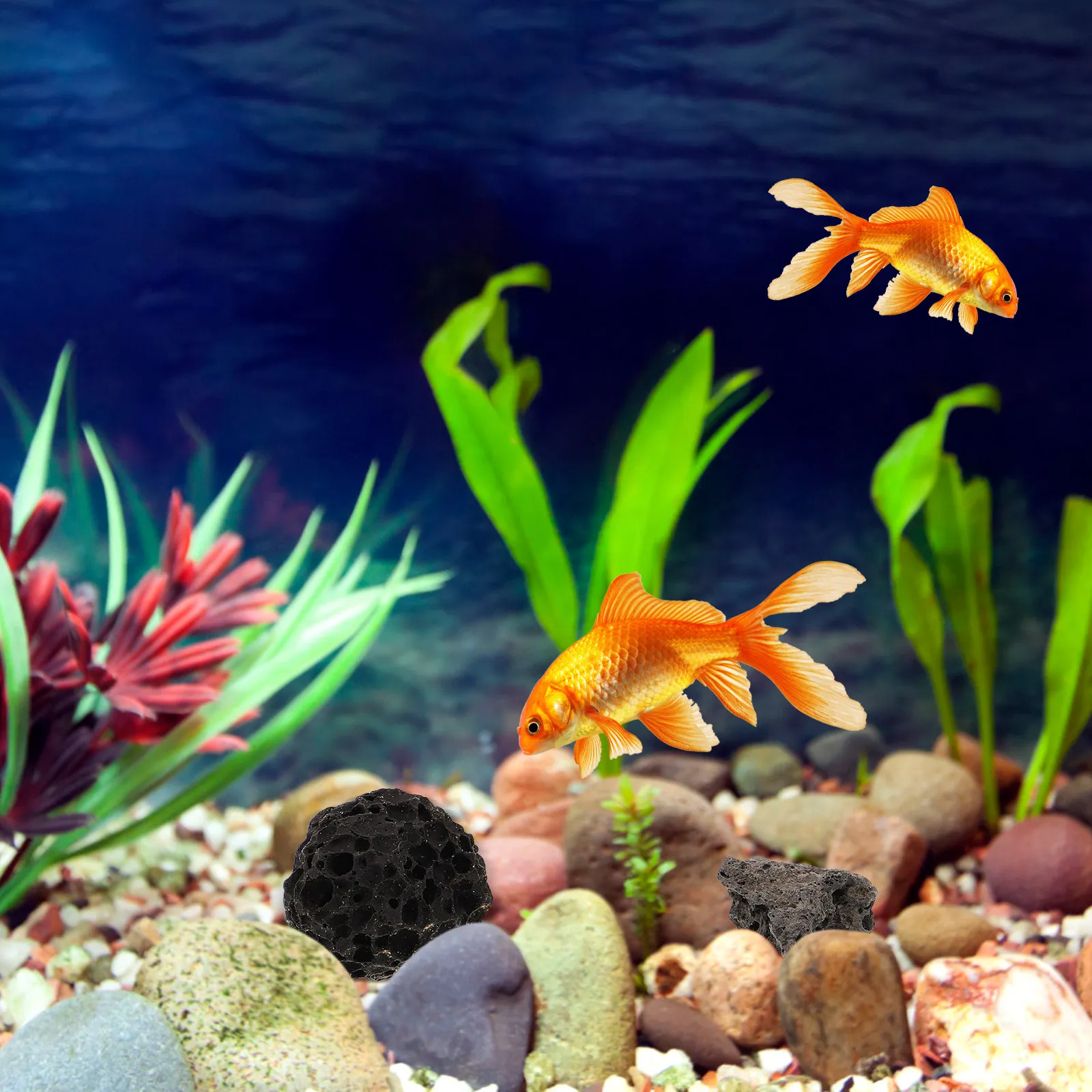 Natural Volcanic Rock Decorati - Planted Aquarium With Rocks review and price