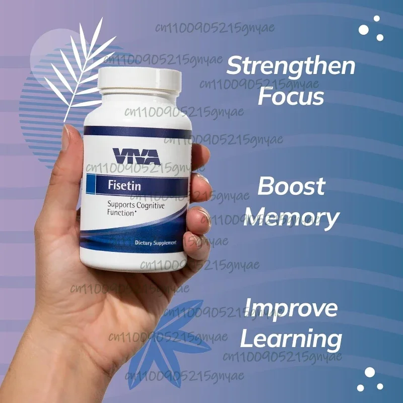 

60 капсул Fisetin — натуральный полифенол, антиоксидант | Без ГМО, безглютеновая, вегетарианская добавка