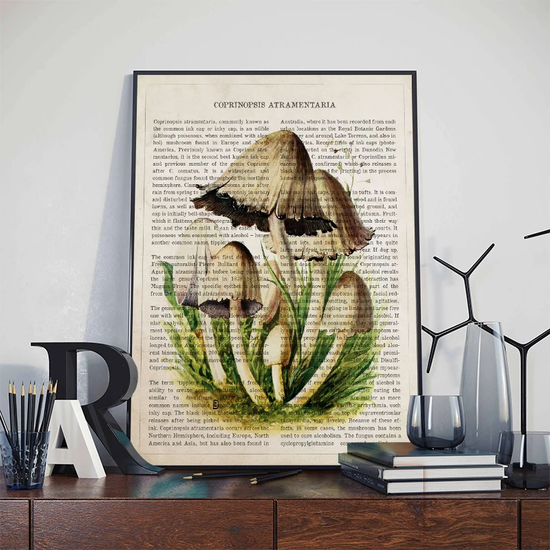 Vintage Mushroom Amanita Muscaria Posters and Prints Canvas Painting Wall Art Pictures for Living Room Home Decoration