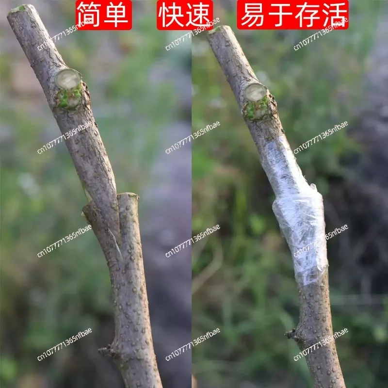 Fruit Tree Seedling Grafting Scissors J60 New Grafting Machine Multifunctional Professional Grafting Tool Holder