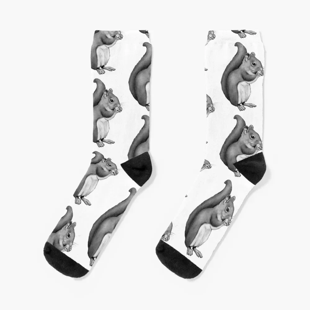 

Squirrel Eating: Pencil Drawing of Cute Squirrel Socks tennis Run Girl'S Socks Men's