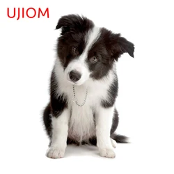 UJIOM Border Collie Dog Anime Wall Decal Vinyl Decor Wall Sticker Self-adhesive Children Bedroom Illustration Decoration