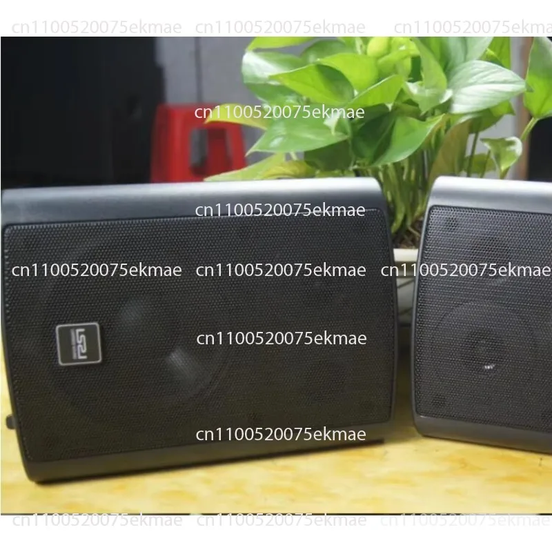 MS50T professional audio speaker for small studio indoor commercial use in conference room dance yoga and training studios