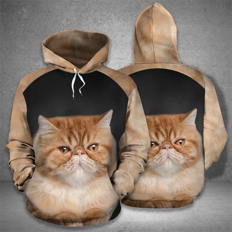 Sudaderas con capucha de gato para hombre y mujer, jerséis de manga larga, ropa deportiva informal para diario, novedad de otoño, 2024