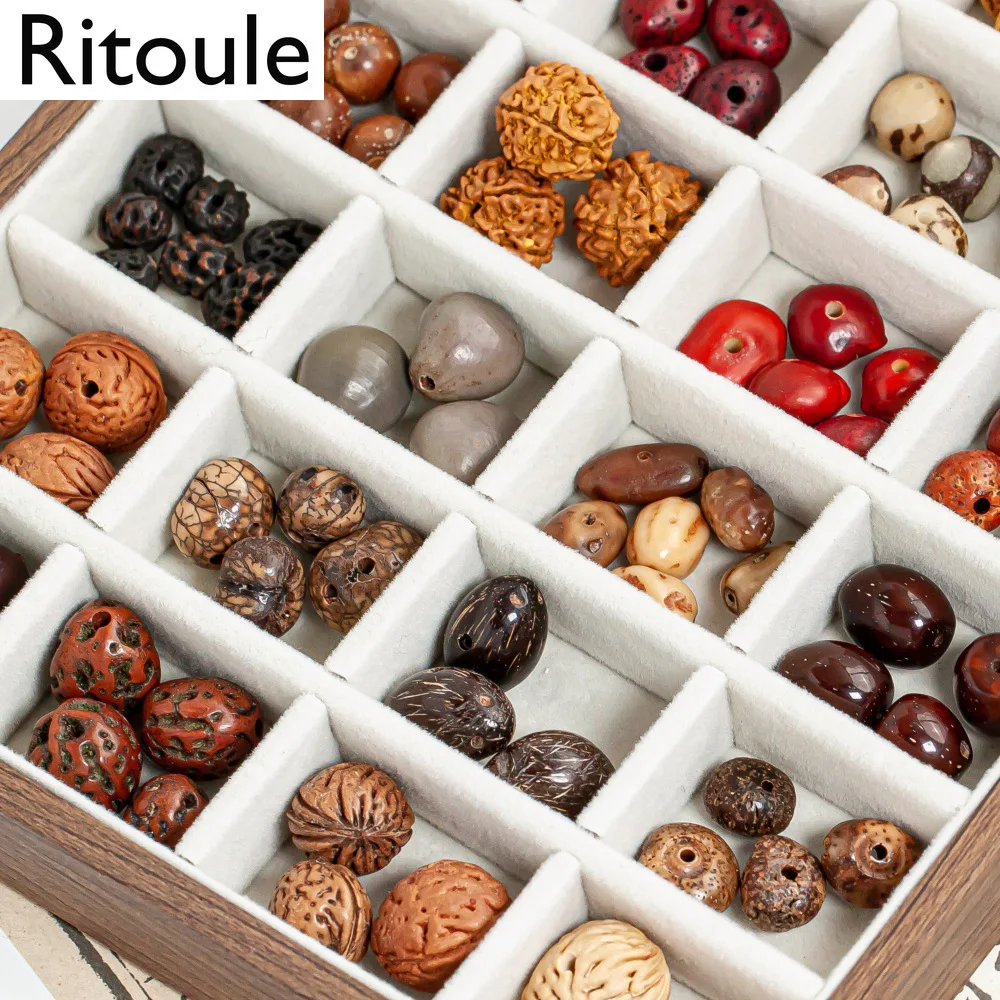 Natural 18-Seed Bodhi Loose Beads, DIY Craft Supplies for Braided Bracelets, Phone Charms & Bag Pendants（6 pcs）