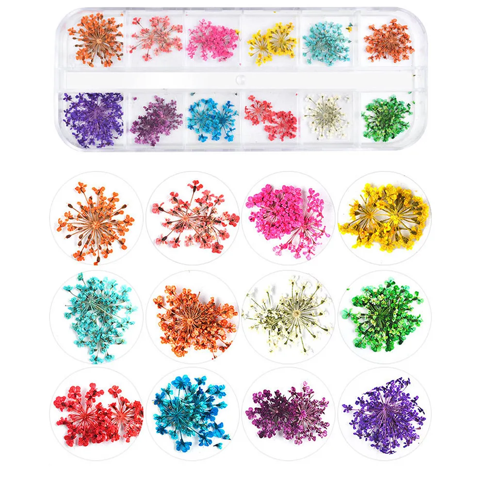 Dried Flowers for Nail Art 3 Packs Real Preserved Manicure Stickers Decorations DIY UV Gel Acrylic Nails Home Professional Use