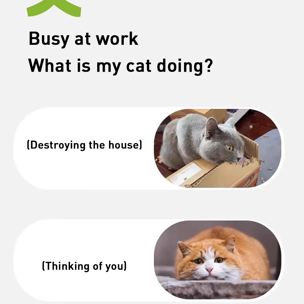 النقيق الطيور النعناع البري لعبة ترفرف الطيور المنشط هريرة لعبة نشط تتحرك الحيوانات الأليفة ألعاب من نسيج مخملي لجميع السلالات القط كيكر