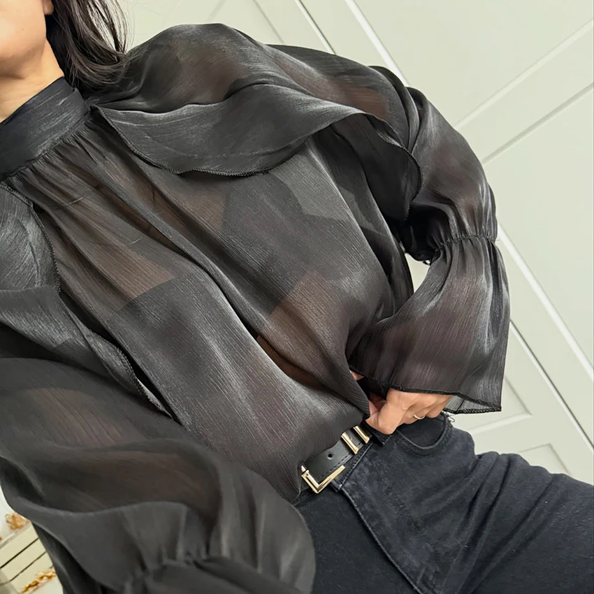 Linad Elegante Mesh Coltrui Shirts Vrouwelijke Street Chic Wijnrood Sheer Flare Mouw Blouse Vrouwen 2026 Lente Casual Losse Tops
