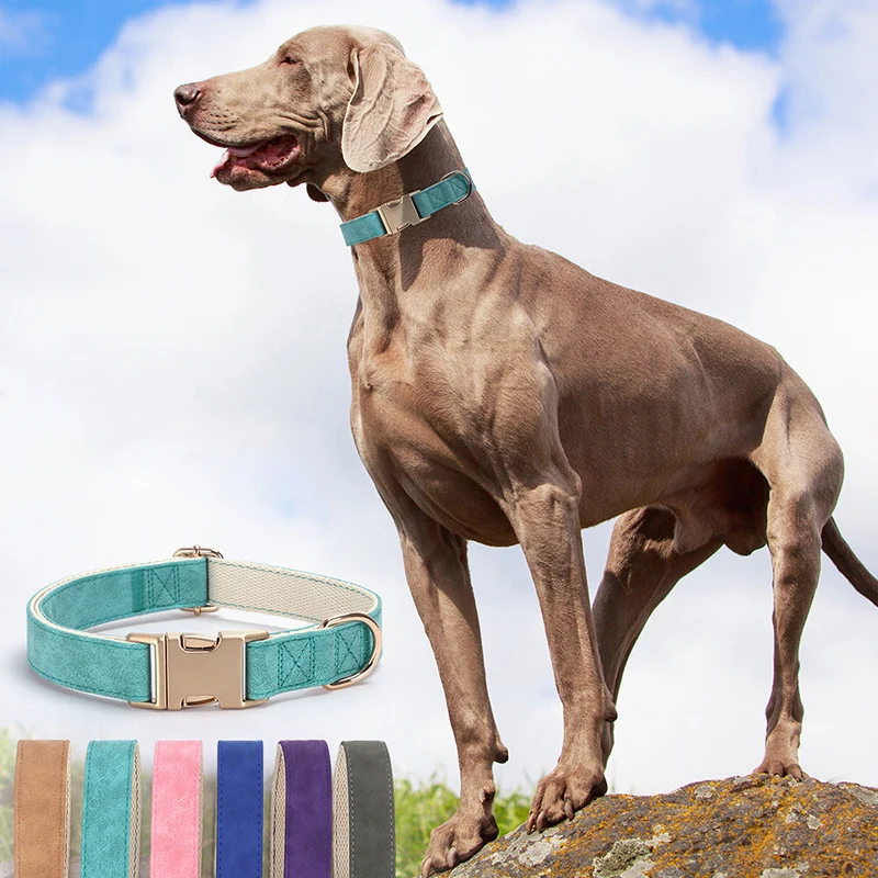 

Adjustable Soft Suede Leather Dog Collar with Metal Buckle Fashional Durable Anti-Escape Dog Necklace Collares Para Perro