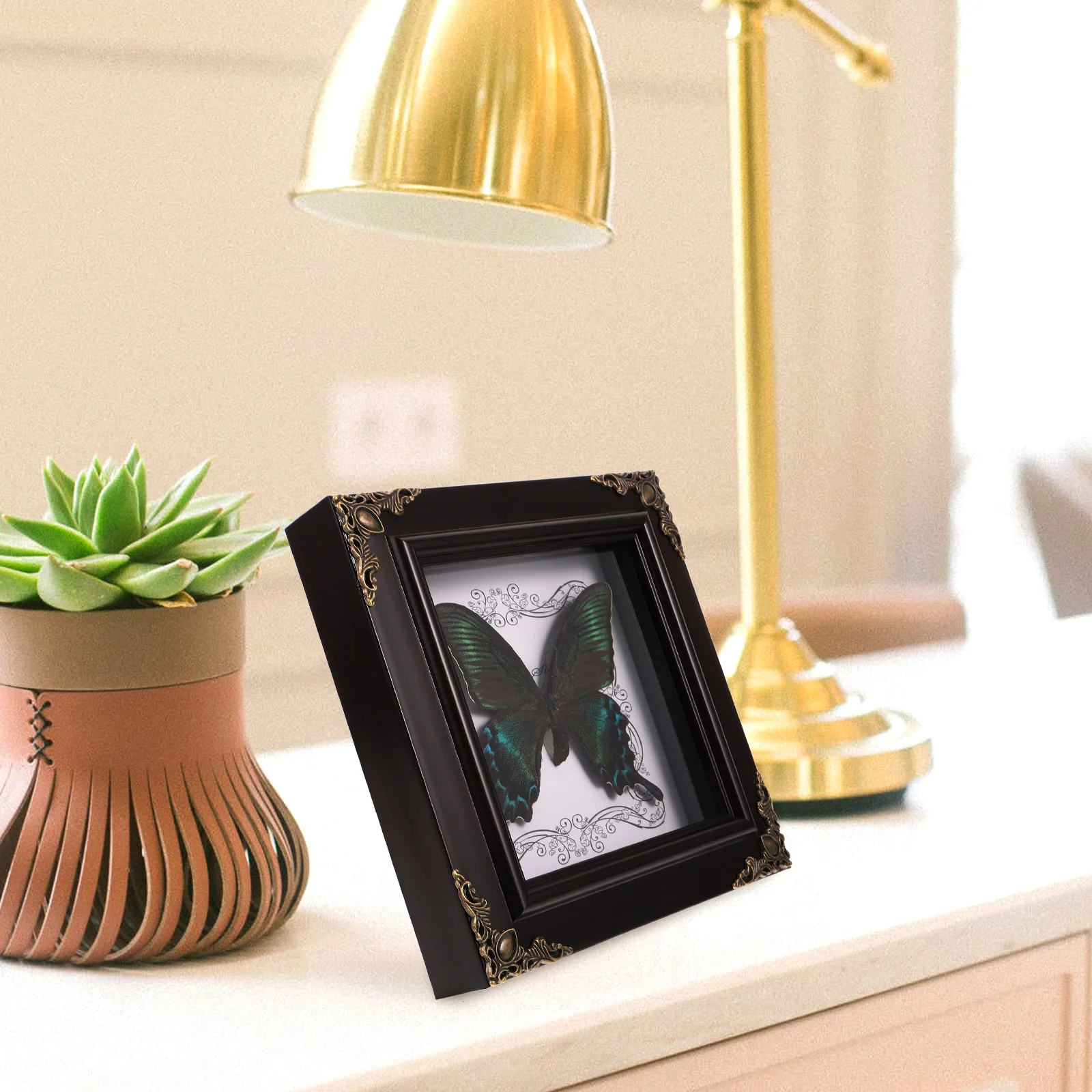 

Butterfly Specimen Photo Frame Framed Insect Pendant Acrylic Home Ornament Household Desktop Decoration