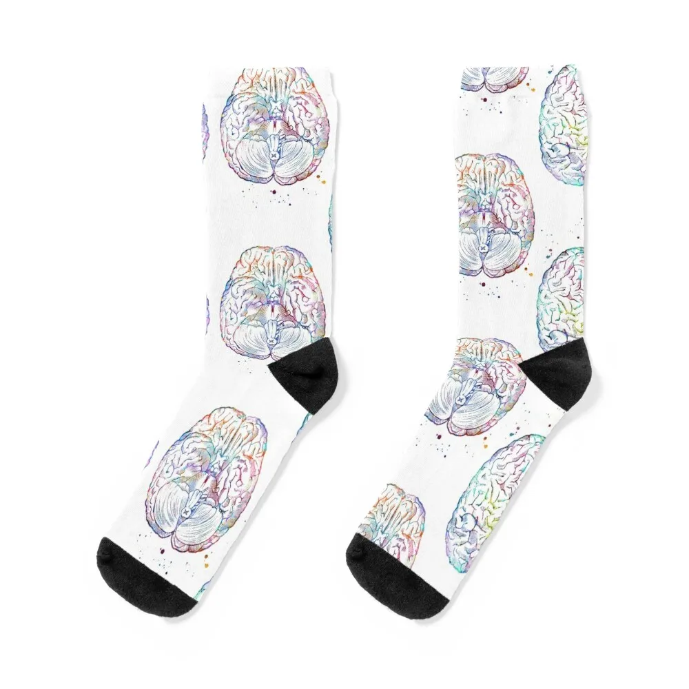 

Brain Anatomy Superior and Inferior View Socks New year's floral Socks For Men Women's