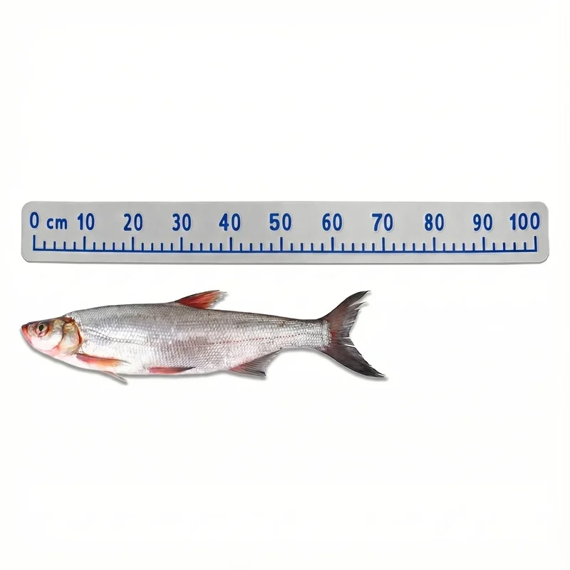 Premium 100cm Deck Sail Boat Fishing Ruler Accessories Self-adhesive Fish Measuring Tool for Sailboats Kayak Waterproof Gray