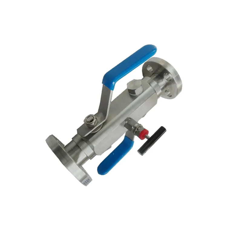 Double Flange Manifold Instrument Needle Valve