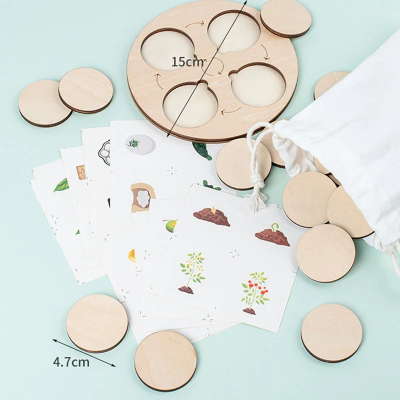 Life Cycle Board Montessori Kit Biology Science Education Toys For Kids Sensory Tray Animal Figure Life Cycle Sorting Wooden Toy