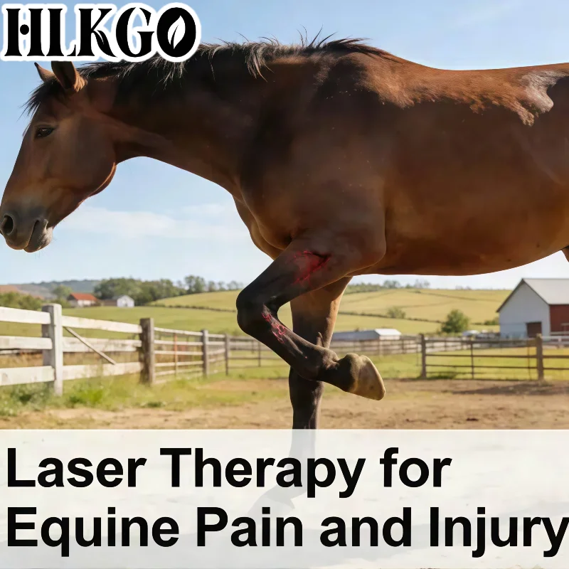 Professional Clinical Strength 5W Portable Laser, Deep Tissue Penetration for Chronic Pain Back Pain Neck Pain Relief Recovery