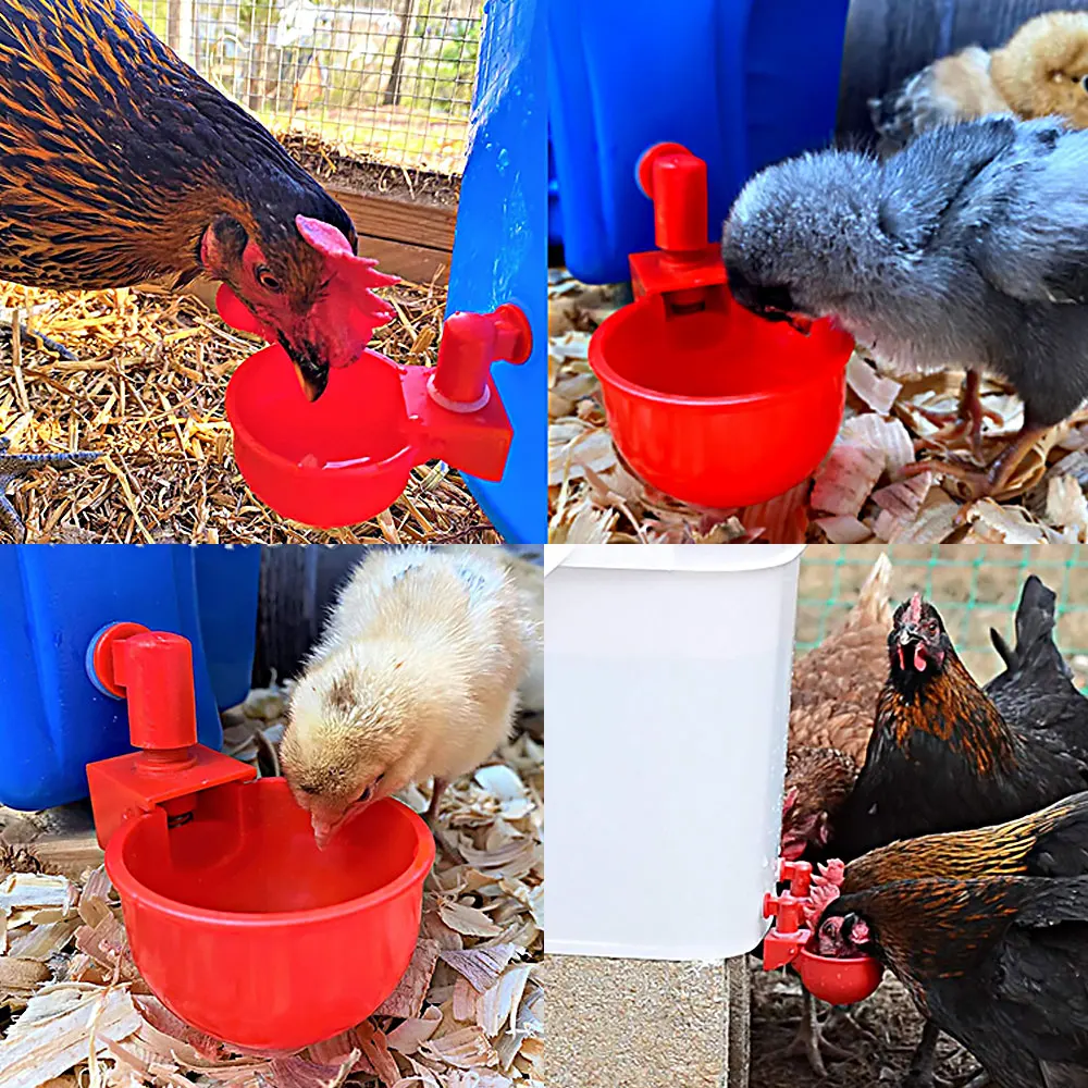 Automatic Chicken Water Cup Waterer Bowl Kit Farm Coop Poultry Waterer Drinking Water Feeder for Chicks Duck Goose Turkey Quail