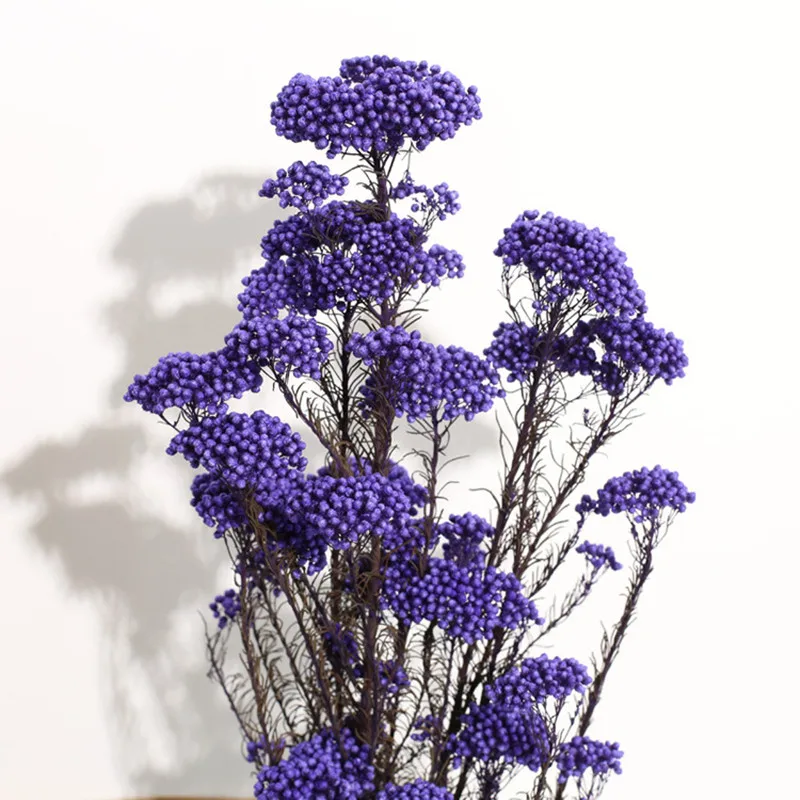 50g Eternal Dry Rice Flower Millet Flowers Heads DIY Home Wedding Arrangement Party Decor Natural Centerpieces Decoration