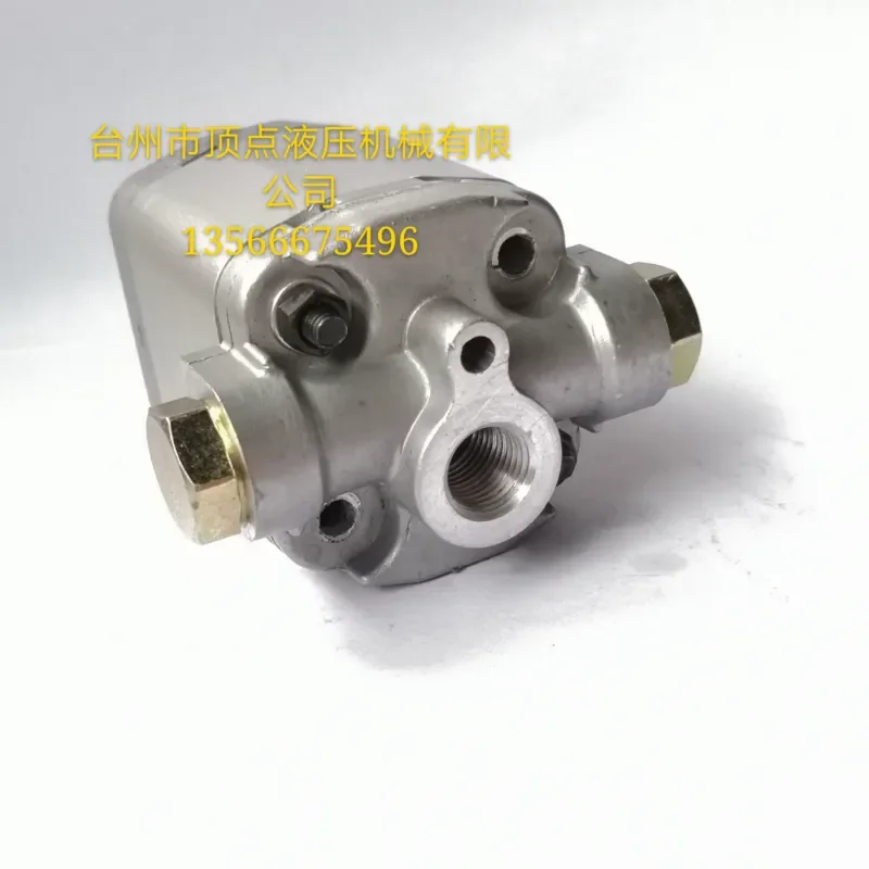 Miniature Two Way Gear Pump Precision Hydraulic Small Oil Wear Resistant High Pressure for Industrial Machinery Automotive