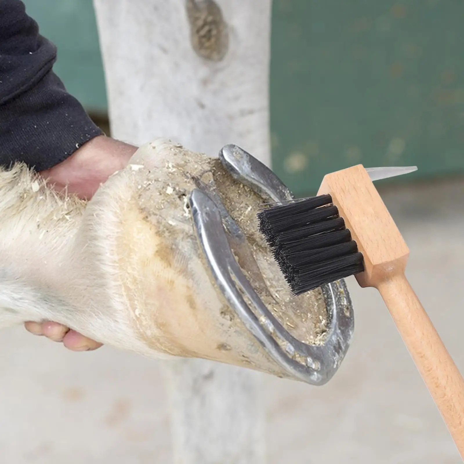 

Horses Hoof Pick Brush Cleaning Brush Horse Hoof Hook Equine Cleaning Brush for Sheep Pigs Livestock Cattle Grooming Care